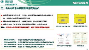 泛在電力物聯(lián)網(wǎng)下智能傳感與人工智能技術(shù)研究及應用——以許繼集團翟登輝會議報告為核心