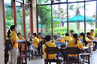 珠海麥田咖啡 以精細化管理深耕餐飲藍海，創新驅動品牌發展